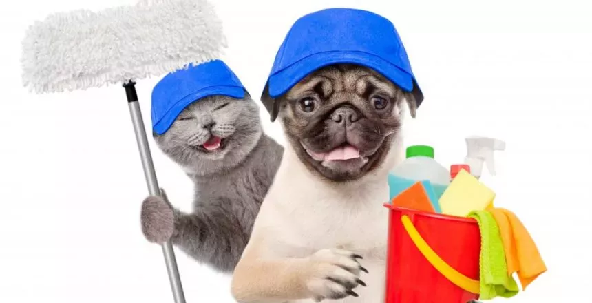 Händiga och hjälpsamma rengöringsmedel för de med husdjur